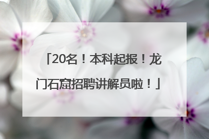 20名！本科起报！龙门石窟招聘讲解员啦！