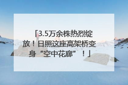 3.5万余株热烈绽放！日照这座高架桥变身“空中花廊”！