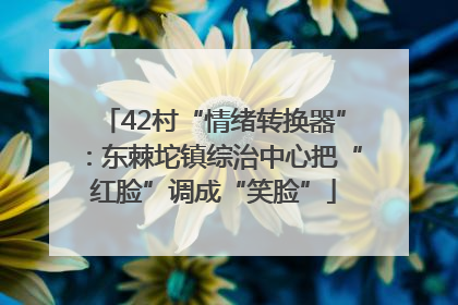 42村“情绪转换器”：东棘坨镇综治中心把“红脸”调成“笑脸”