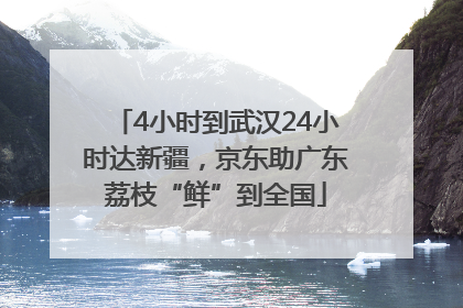 4小时到武汉24小时达新疆，京东助广东荔枝“鲜”到全国