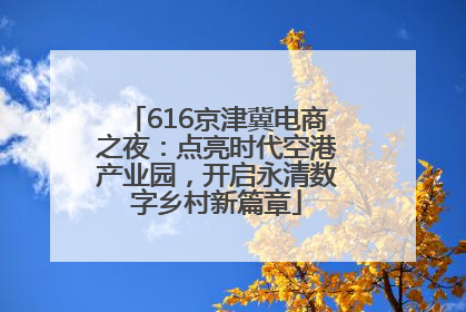 616京津冀电商之夜：点亮时代空港产业园，开启永清数字乡村新篇章