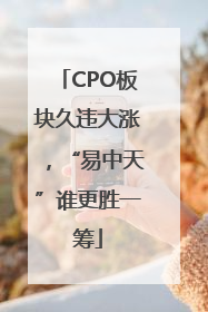 CPO板块久违大涨，“易中天”谁更胜一筹