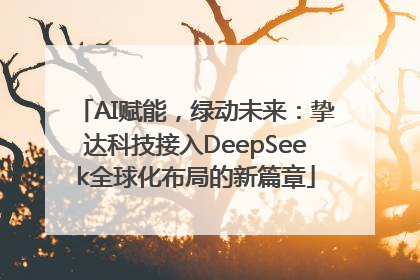 AI赋能，绿动未来：挚达科技接入DeepSeek全球化布局的新篇章