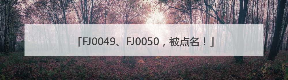 FJ0049、FJ0050，被点名！